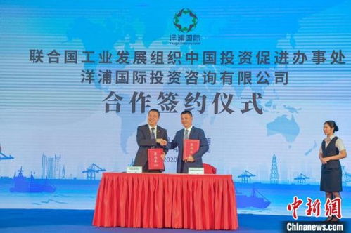 海南洋浦成立國際投資咨詢公司 賦能企業(yè)投資自貿(mào)港先行區(qū)